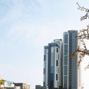 속초엔게스트하우스 이미지