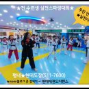 키즈 태권도 현대체육관 이미지