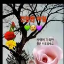 제58회 여수거북선축제 이미지