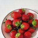 당과담카페