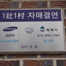 대안2리마을회관 이미지