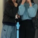 분량 감당 가능하세요 ??