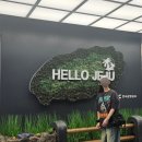 휘파람 | W_제주웨딩스냅ᰔ 꿈인제주 프로젝트, 휘파람 스냅, 필름 블랭크 후기