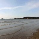 몽산포레져