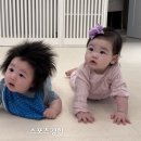 박수홍 카카오 검색결과