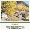 구례마을회관 | 구례 산수유 마을 축제, 부모님과 함께 즐기기 좋은 봄꽃 여행지