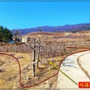 평수농장 이미지