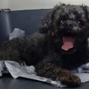 북항동행정복지센터 이미지