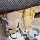 강우동물병원 이미지