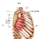 J.J GYM 이미지