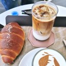 숲속에 우산정원 | 용인 가볼만한곳 '용인자작나무숲', 유럽 감성 가득한 베툴라 카페 &amp; 온실 정원 힐링 후기 with 강아지