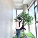 쵸코렛 | 울산맛집 김보람초콜릿 울산 직영점 두바이초콜릿 생초콜릿 후기