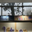 (유)한창에너지 | [뮤지컬] 2025 결산 :: 1분기 - 이프덴, 시라노, 스윙데이즈, 종의기원, 하트셉수트, 라이카