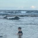 포항과학기술고등학교 | 해파리 걱정없이 아이랑 해루질과 스노클링 가능한 경북 포항 구룡포간이해수욕장