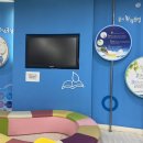 죽도동 맑은물 이미지