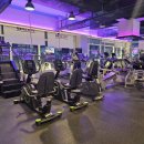 피트니스 김관장 이미지