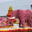 동대구역광장 이미지