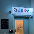 말랑블링 이미지