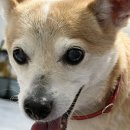 개발바닥친구들 이미지