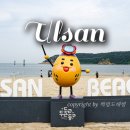 일산해수욕장3(일산중앙화장실) | 울산 일산해수욕장 샤워장 머슬비치 울산 여름 가볼만한곳