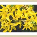 은하초등학교 이미지