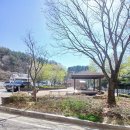 신탄진로190번길 이미지