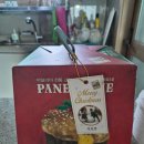 파네토네 | 성심당 파네토네 솔직후기 | 크리스마스 빵 추천, 슈톨렌과 차이까지 완벽 정리