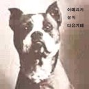유명상사 이미지