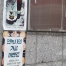 연녹시
