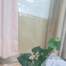 경상중학교 이미지