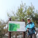 무릉도원면사무소 이미지