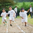낙동초등학교 이미지