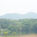 썸버거