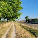 광야축산 이미지