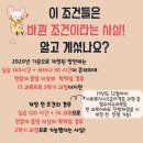 행선로17 네이버블로그