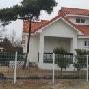 애견 파라독스 펜션 네이버블로그