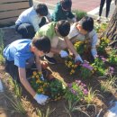 안명초등학교 이미지