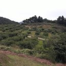 충주전원/ 충주시 수안보면토지5151평(17029m²) )계획관리 매평당30만 이미지