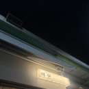 화양면화