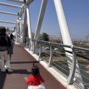 낙동제방 자전거도로 | 부산 사상구 낙동제방벚꽃길 &amp; 삼락공원 벚꽃 개화 현황 🌸(feat. 주차 꿀팁🚗)