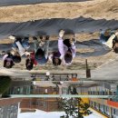 능서초등학교 이미지