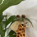 김밥조아 이미지