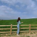 백수목장 이미지