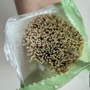 밥프로디테