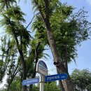 상록수한양아파트1동옆 | 압구정 한양아파트 임장 산책 후기 — 한강뷰와 넓은 동간 간격, 슈퍼카까지