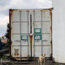 오빠야마트 | 제주 성산맛집 , 표선우동가게 내돈내산후기🍜