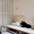 세미네일 네이버블로그