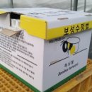 이장옥농장 이미지