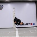 프리미엄 태권마루 태권도장 이미지