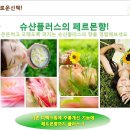 [무료체험단 모집정보] 슈산플러스 - 1석3조의 효과 (미백/주름개선/페르몬향)